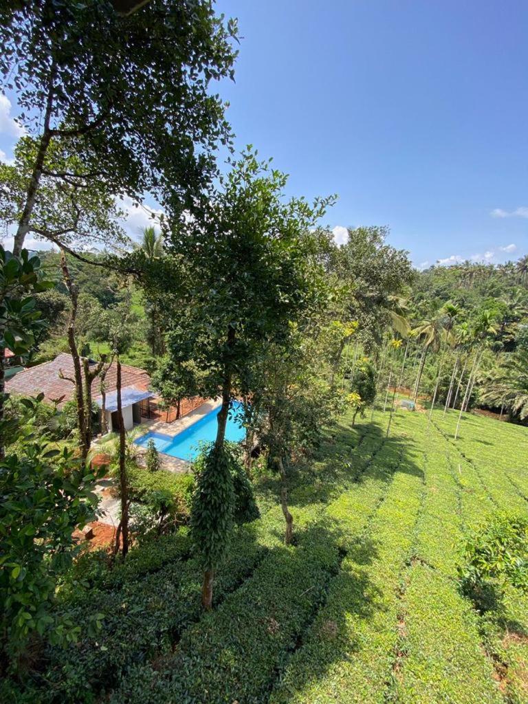 Letstay Vythiri Hill Palace Экстерьер фото