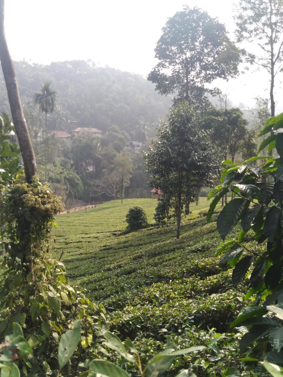 Letstay Vythiri Hill Palace Экстерьер фото
